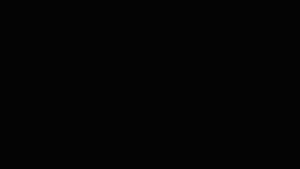 Neo G_00 fixline.gif